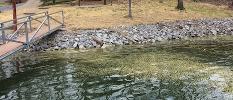 Gentle slope to water. View of home from boat dock with swim pier attached. 