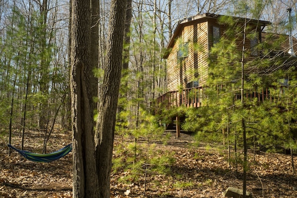 Single hammock good for a read or a nap. There's also a double hammock.