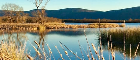 Lake Nanih Waiya borders the cabin property - this pic in Winter