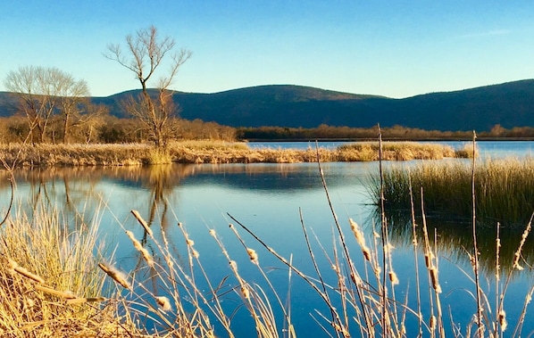 Lake Nanih Waiya borders the cabin property - this pic in Winter