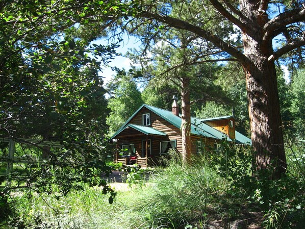 Get ready for a small mountain town adventure!   AP elevation 8,500ft