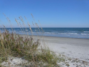 Palmetto Dunes Leamington Beach -- Across the street. Quiet & Scenic
