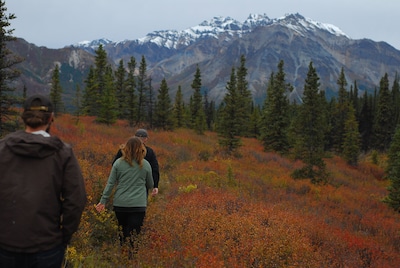 Wood River Lodge - Moose Cabin - FLY IN ONLY!