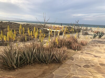 Casa frente al mar, 3 suites privadas, Mar de Cortés, 4 estaciones, Costa Palmas.