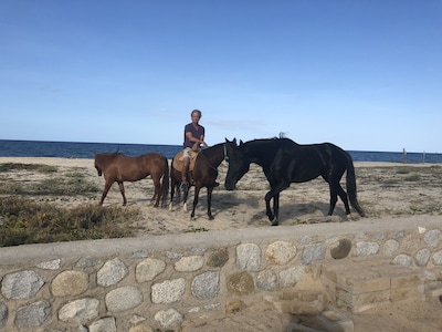 Casa frente al mar, 3 suites privadas, Mar de Cortés, 4 estaciones, Costa Palmas.