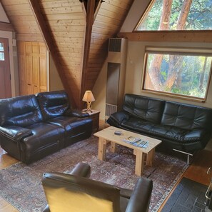 Cozy Living Room with Leather Chairs 