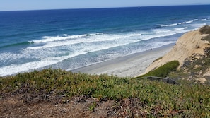 Ocean view from bluff
