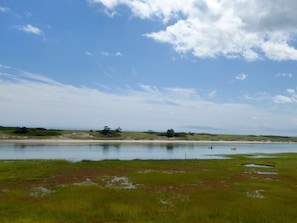 View from the back deck