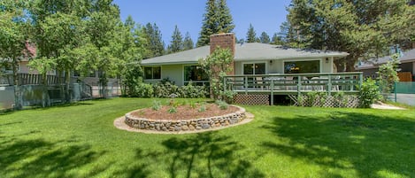 View of the backyard