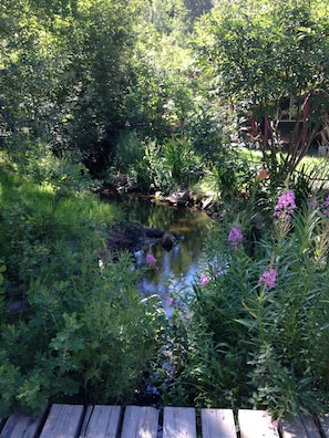 summer flowers by the creek! 