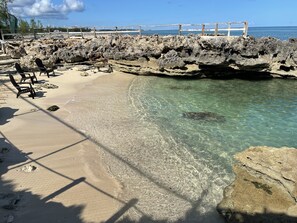 Mini Beach/Lagoon at lowtide at Panorama 😊. Also access to excellent snorkeling!