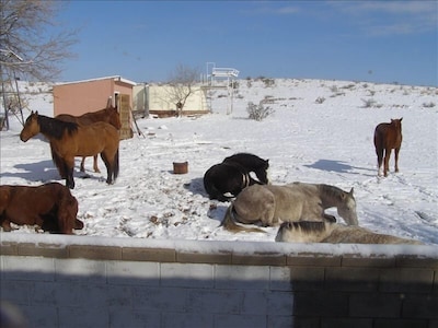 The Casita at Chesser Ranch