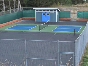 Regulation Pickleball Court with paddles and balls