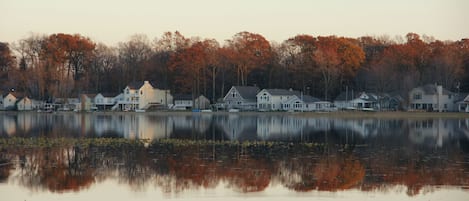 The view in the fall, one of my favorite views all year long, priceless!