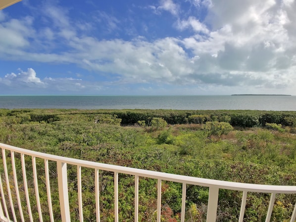 View from Unit