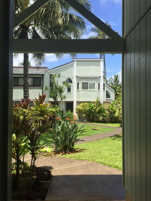 View from the front door of our home.