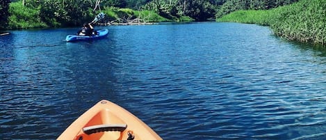 Start your vacation kayaking to the ocean on Hanalei River ≈5min from our home!