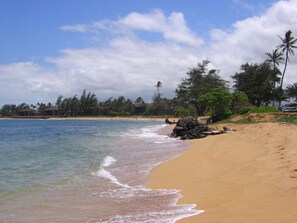 Beach a stone's throw from the condo