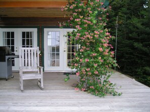fragrant honeysuckle on the deck