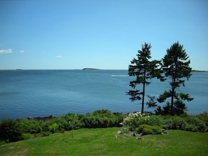 View from the deck of the house