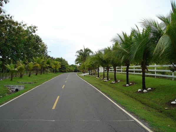 Road from the Inter-Americana Highway to the Beach