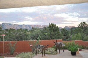 The Burro's on patio next to pool
