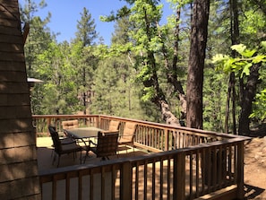 Back Patio overlooking the Munds Canyon