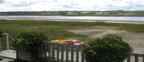 view of the harbor from our back yard