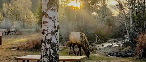 Parco della struttura