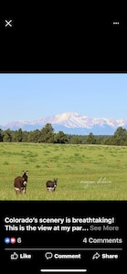 Still Water Ranch-Private house located on 60 acre Horse farm