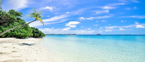 Beautiful Lido Key Beach