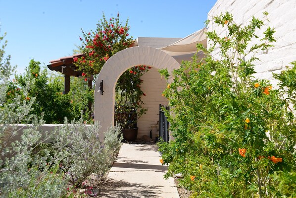 Front walk
 welcome