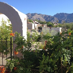 Catalina Mountains and the neighbors home across the quiet residential street