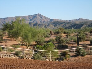 View from the barn turnout.