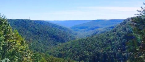 Terrain de l’hébergement 