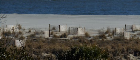 A view of the beach and Ocean from Unit: a very short walk from Shipwatch 203-A