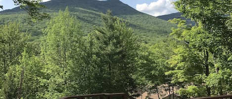 The view from the deck in Summer