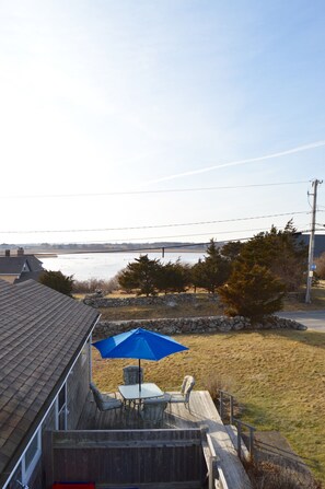 Richmond pond view from upper deck