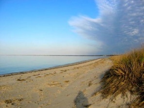 Enjoy the beauty of Cape Cod Bay beaches very close to the cottage.