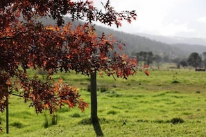 Terrenos do alojamento