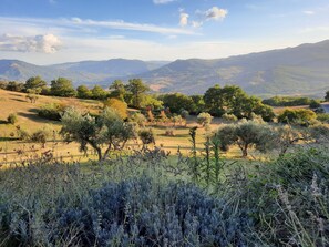The view from the terrace and house