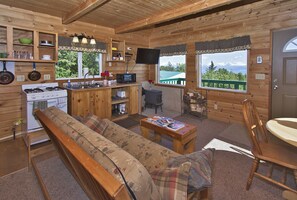 Living area/kitchen