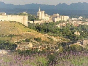 Vue depuis le jardin et champs de lavandes vers Avignon et le Palais des Papes
