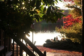 View from the driveway