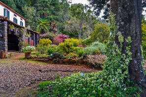 Main house
Our garden