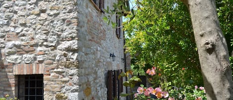 house (view from the garden)