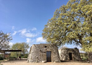 Prospetto anteriore con Quercia Vallonea del XVII sec