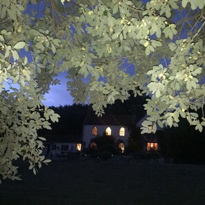 BBQ nights 