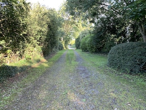 View From House to Road