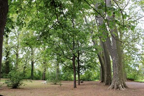 Jardines del alojamiento